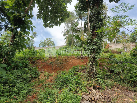 Commercial Plots available for Sale in Nedumangad Thiruvananthapuram