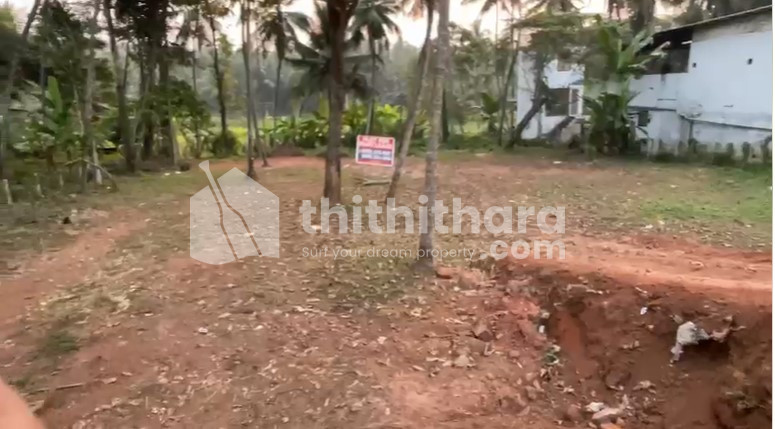 Commercial Plots available for Sale in Thamarassery Kozhikode