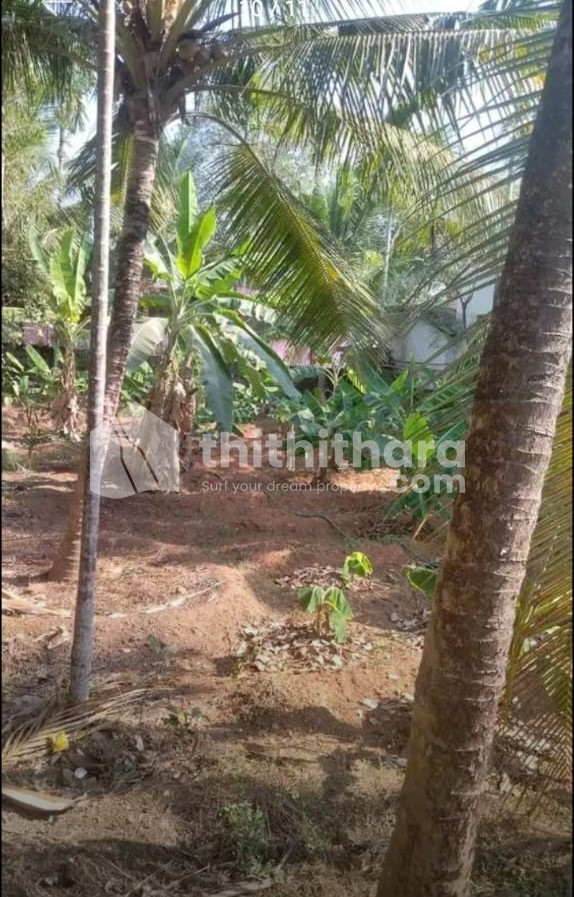 Residential Land available for Sale in Kochi Ernakulam
