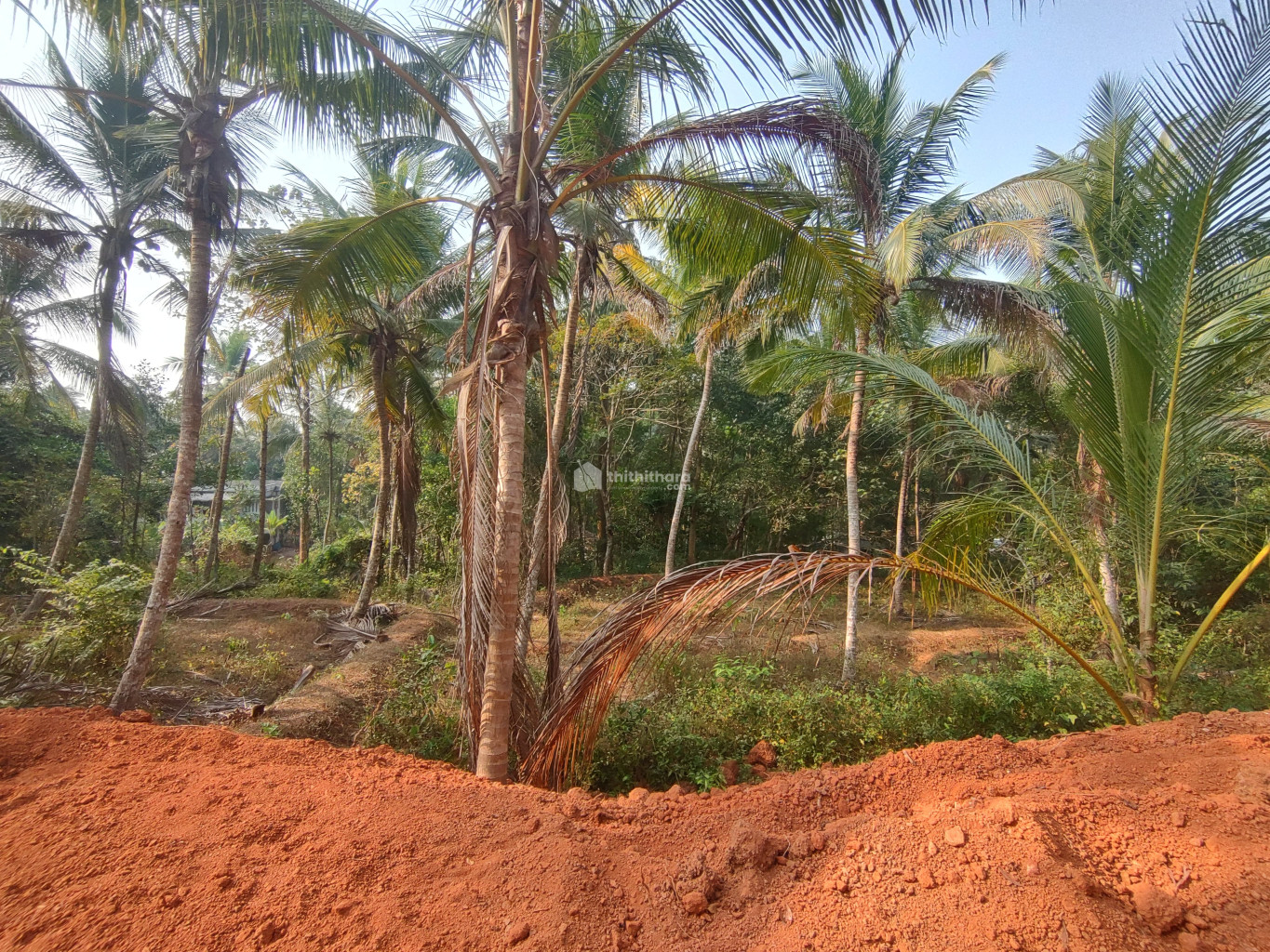 Commercial Plots available for Sale at Koduvally Kozhikode