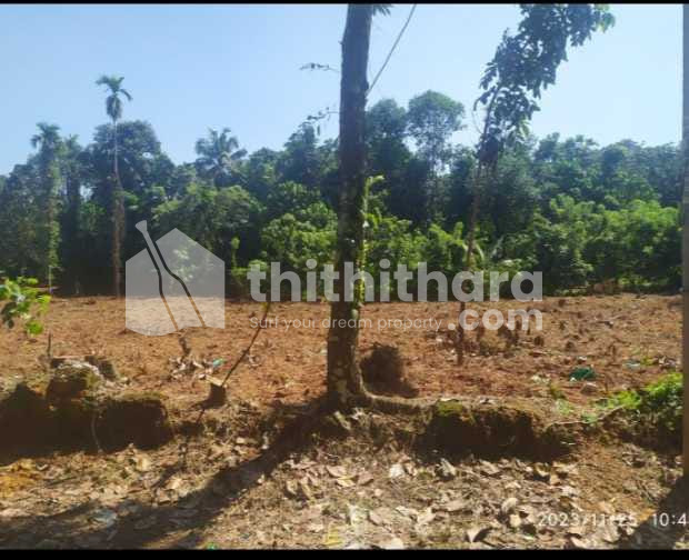 Residential Land available for Sale in Kothamangalam Ernakulam