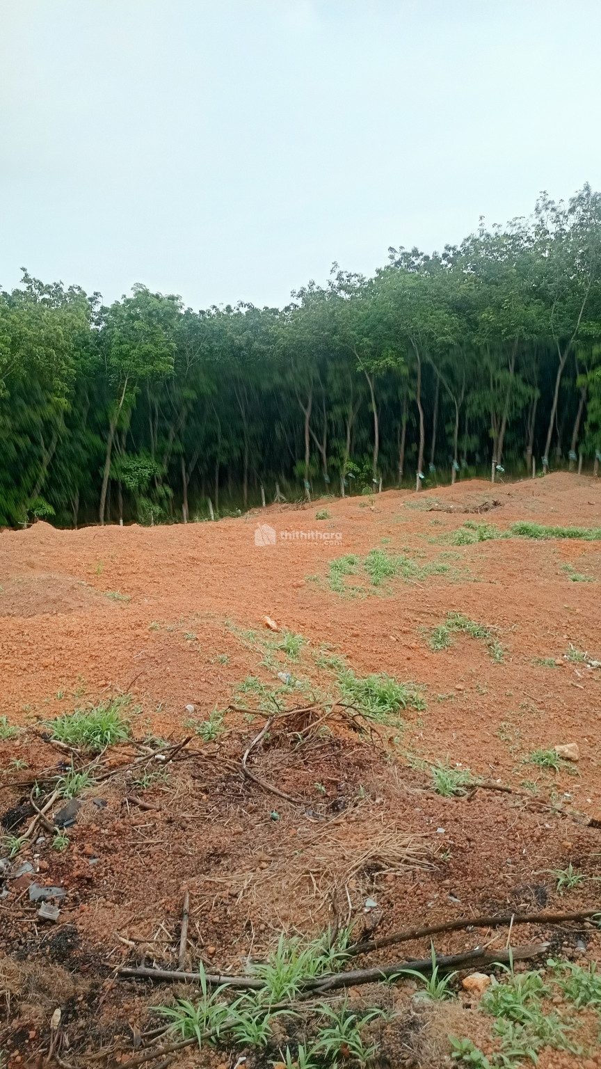 കൊല്ലം ജില്ലയിലെ കൊല്ലം -ആയൂർ റോഡ് അമ്പലംകുന്നിൽ 1 ഏക്കർ 54 സെന്റ് 