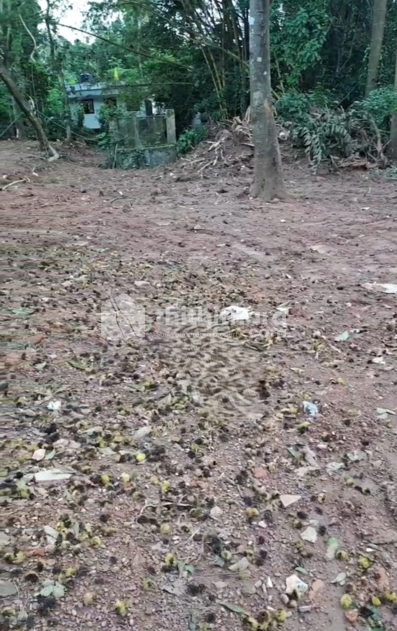 Residential Land available for Sale in Chingavanam Kottayam