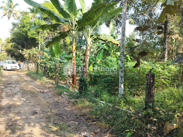 Residential Land available for Sale in Mukundapuram Thrissur