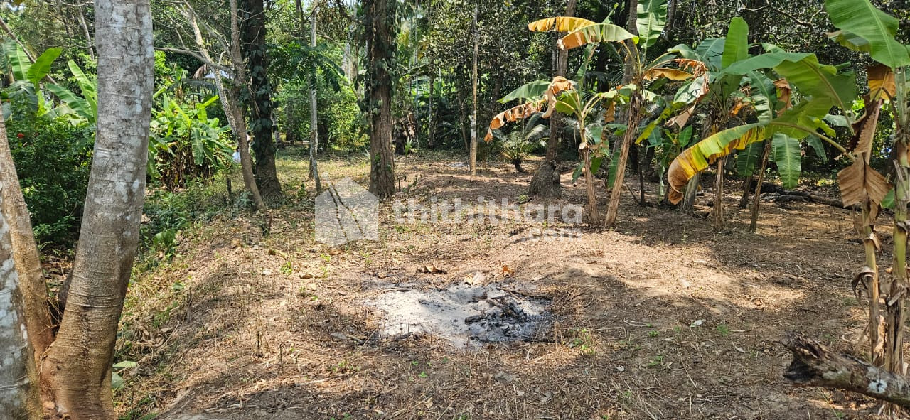 Residential Land available for Sale in Payyoli Kozhikode