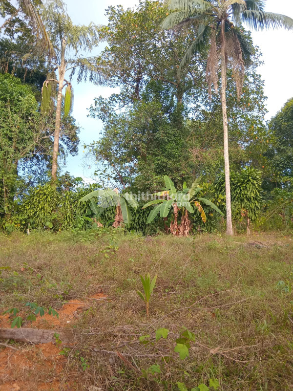 Residential Land available for Sale in Peerumade Idukki