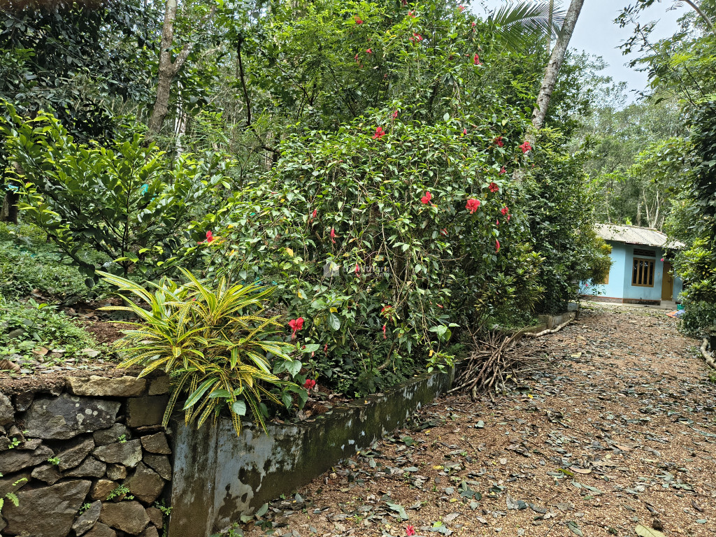  Residential Land For Sale In Changanacherry Kottayam