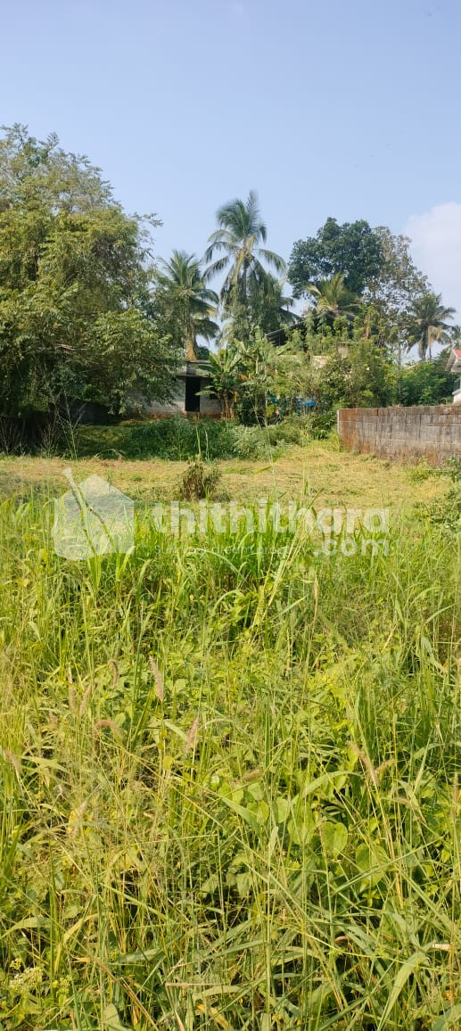 Commercial Land for sale in Kuttanellur Thrissur
