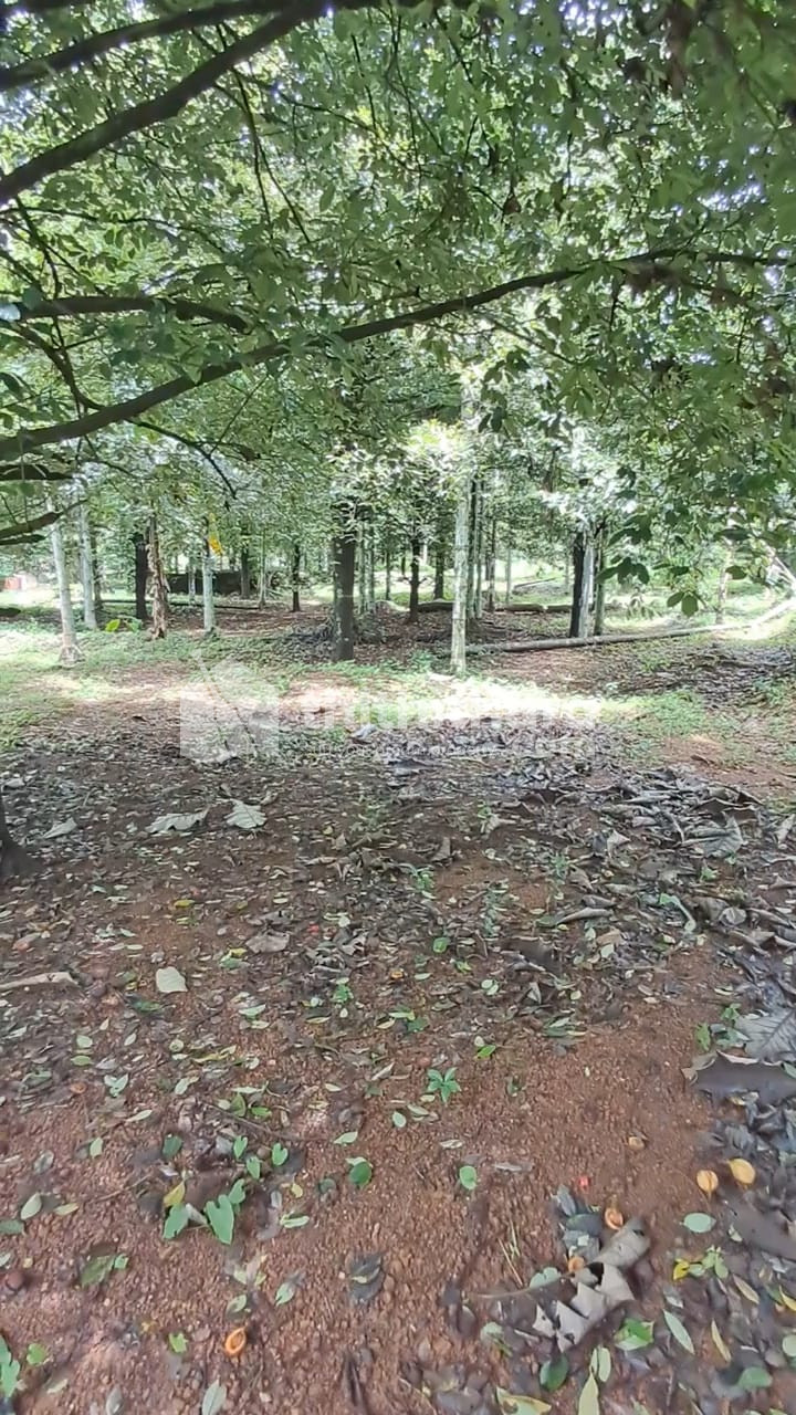 Residential Land available for Sale in Puthukkad Thrissur