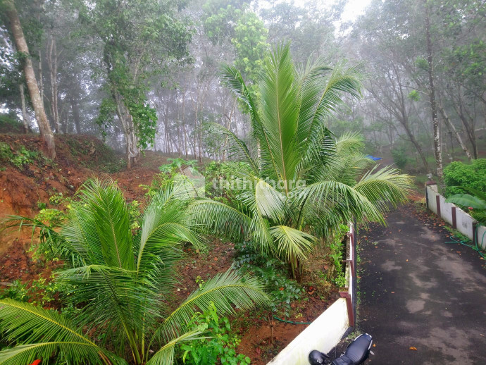 Residential Land available for Sale in Kaduthuruthy Kottayam