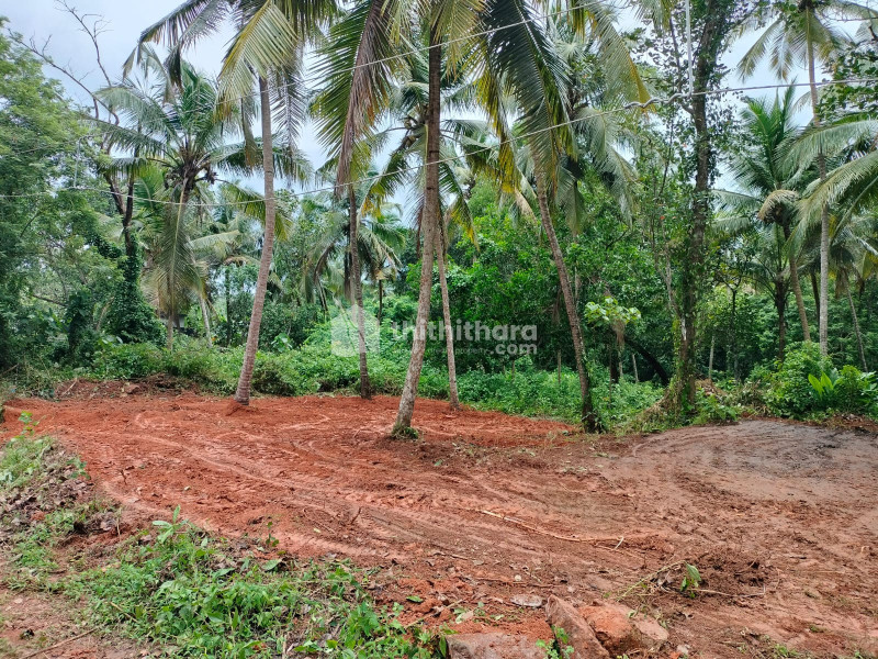 Residential Land available for Sale in Kakkodi Kozhikode