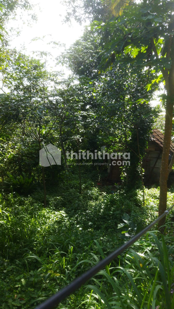 Residential Land available for Sale in Pathanapuram Kollam