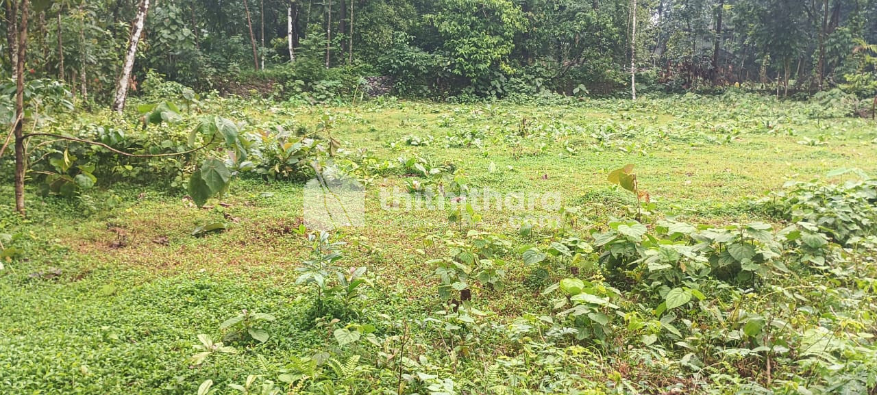 Commercial Plots available for Sale in Perumbavoor Ernakulam