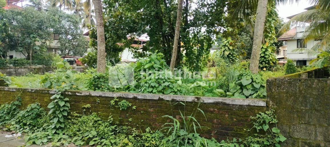 Residential land available for sale near St Thomas college Thrissur