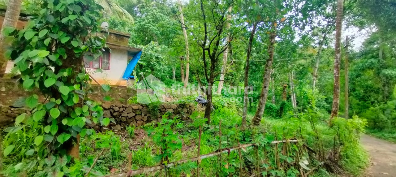 Residential land available for sale at Athani Thrissur  