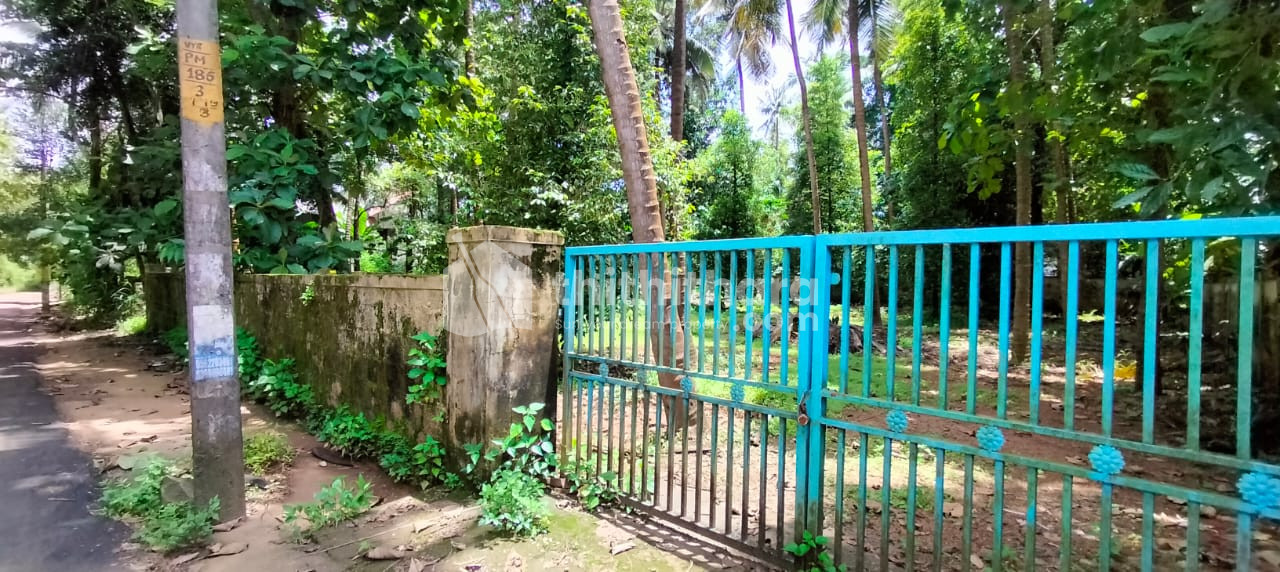 Residential land available for sale at Kuttoor Thrissur 
