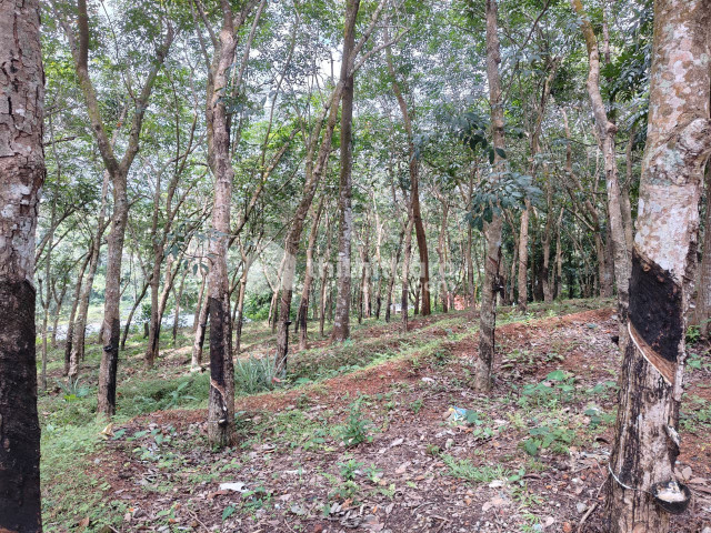 Residential Land available for Sale in Nedumangad Thiruvananthapuram