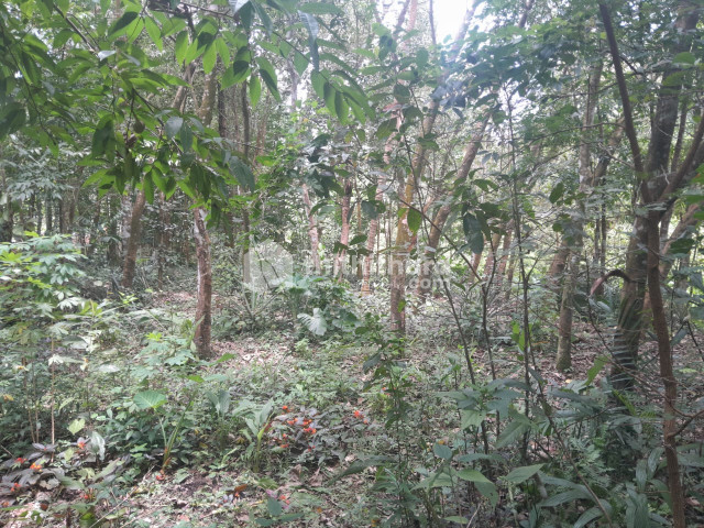 Residential Land available for Sale in Kunnathur Kollam