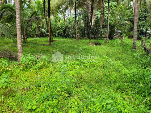 Residential Land Available for sale at Ponnani Malappuram