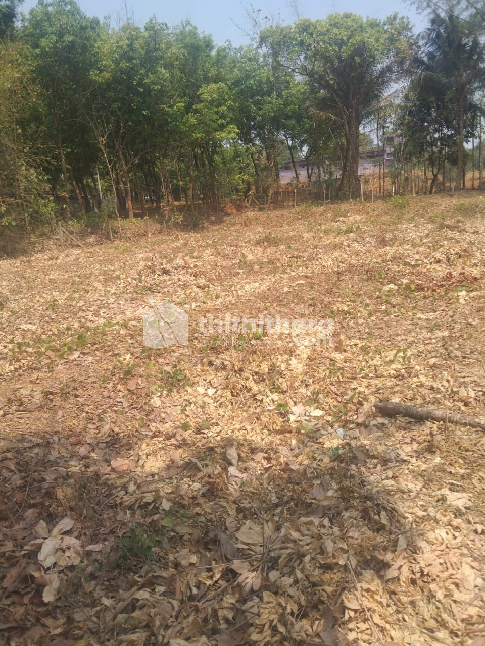 Residential Land available for Sale in Alathur Palakkad