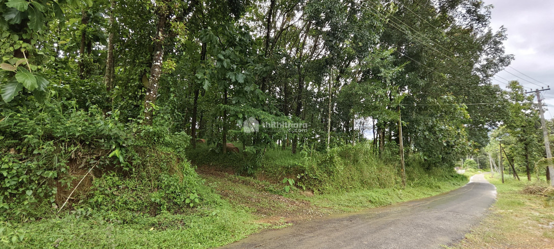 Residential Land available for Sale in Vythiri Wayanad