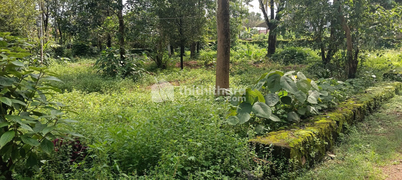 Residential Land available for Sale in Chalakudy Thrissur