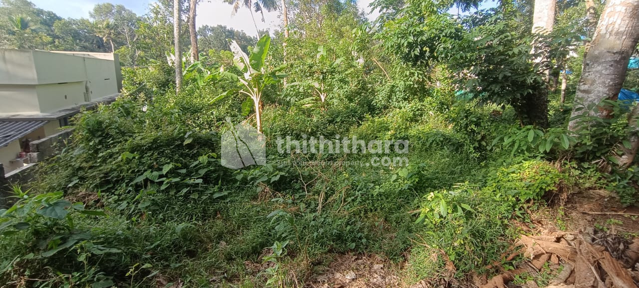 Residential Land available for Sale in Parassala Thiruvananthapuram