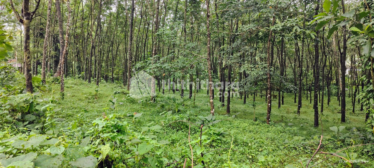 Commercial Plots available for Sale in Pala Kottayam