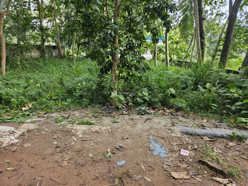 Residential Land available for Sale in Nemom Thiruvananthapuram