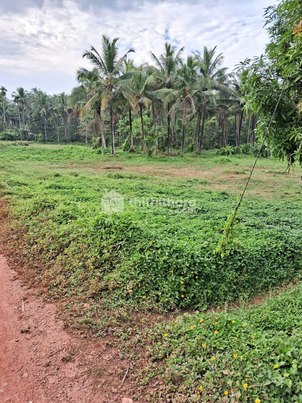 Commercial Land available for Sale in Chelora Kannur
