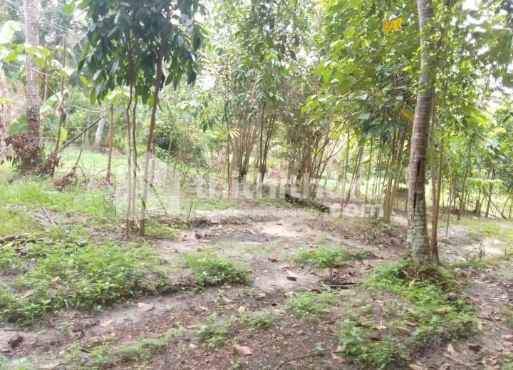 14 Cent Residential Land for sale in Haripad Alappuzha