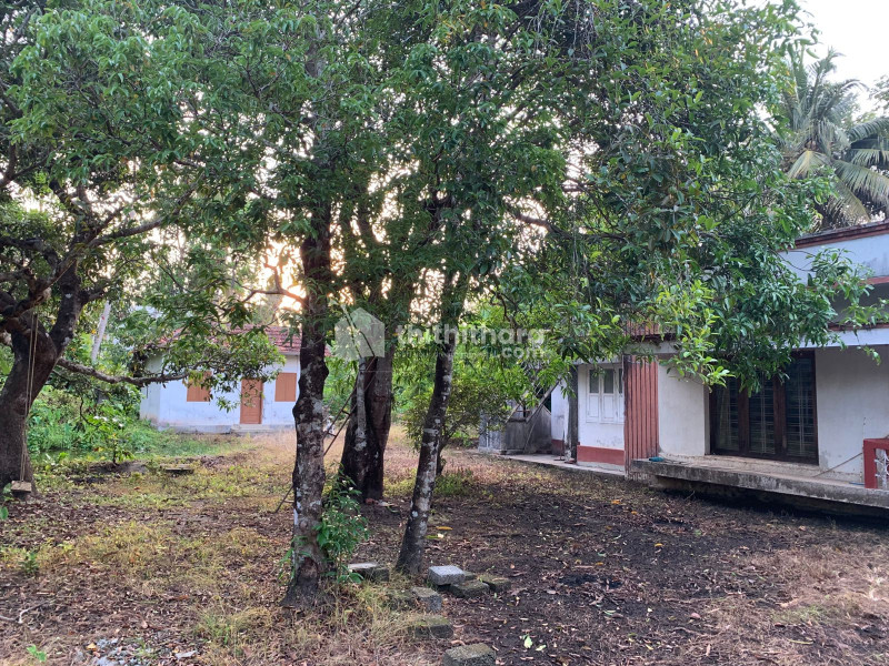  Residential land for sale in Kumbalangi Ernakulam 