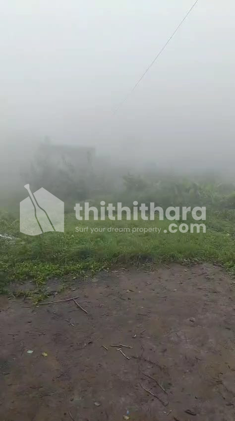 Commercial Plots available for Sale in Vythiri Wayanad