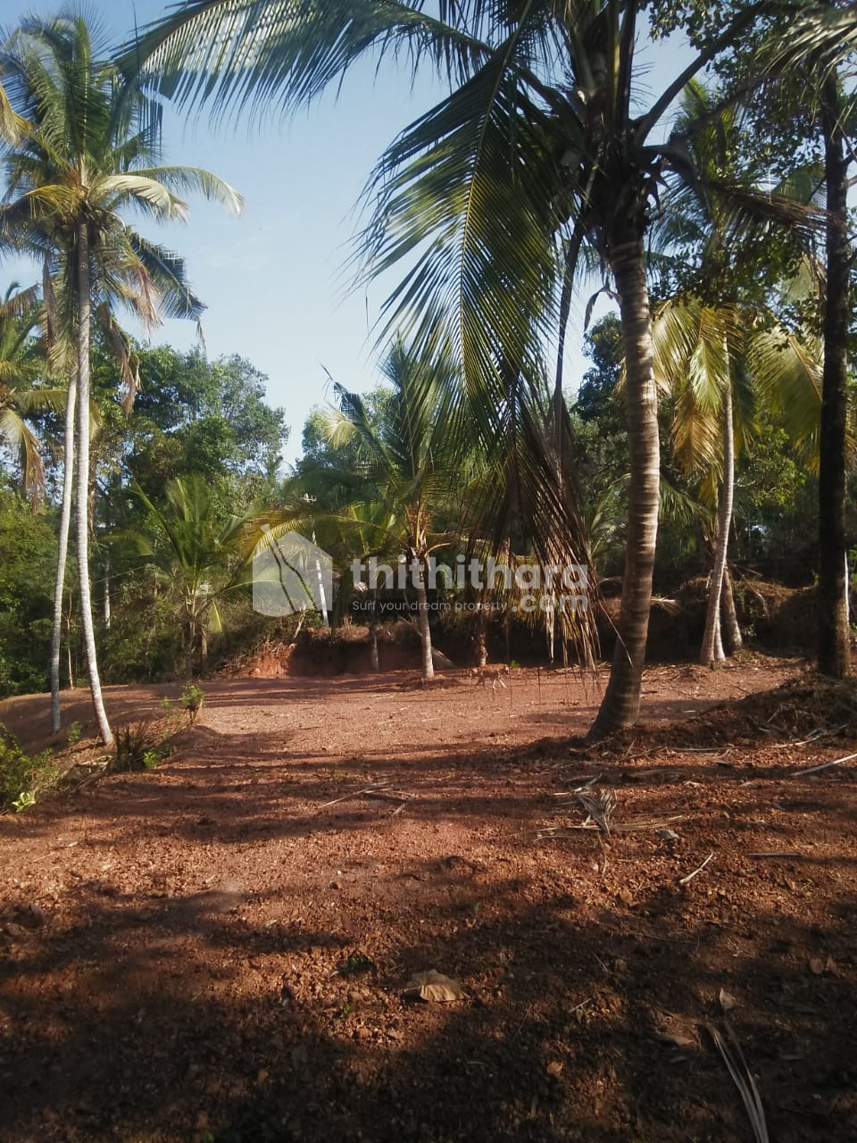 30 Cent Residential Land for sale at Attadappa , Kannur