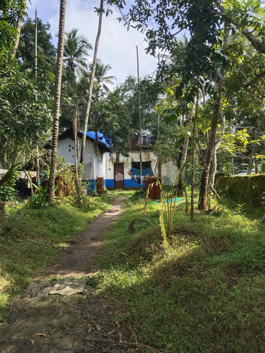 Residential Land available for Sale in Payyoli Kozhikode