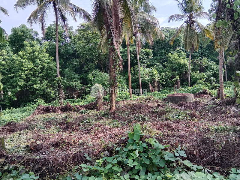 Residential Land available for Sale in Ottappalam Palakkad