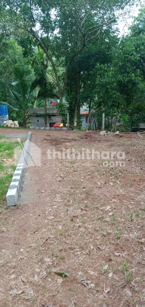 Plot for sale at Nedumangad Thiruvananthapuram