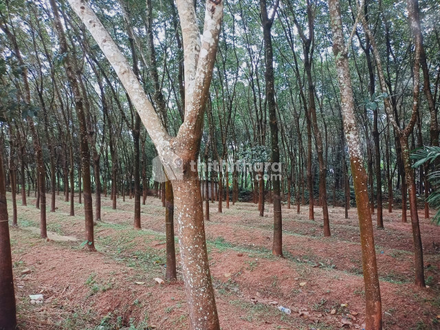 Residential Land available for Sale in Kayamkulam Alappuzha