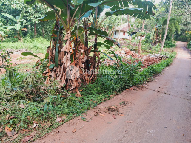 Residential Land available for Sale in Chathannoor Kollam