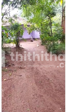 Commercial Plots available for Sale in Mevaram Kollam