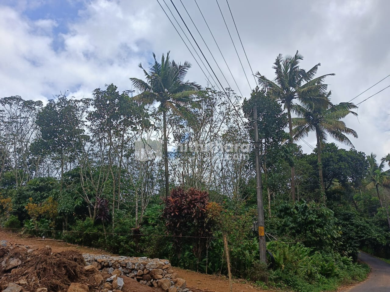 Residential Land available for Sale in Thodupuzha Idukki