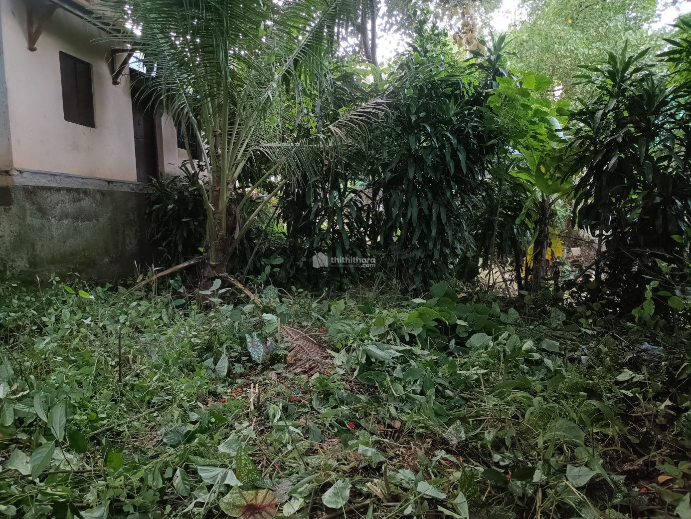 Commercial Plots available for Sale in Varkala Thiruvananthapuram