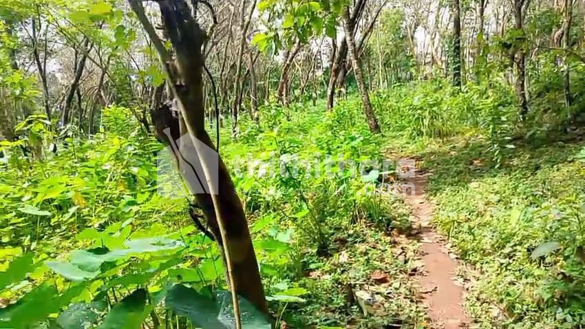 Residential Land available for Sale in Angamaly Ernakulam