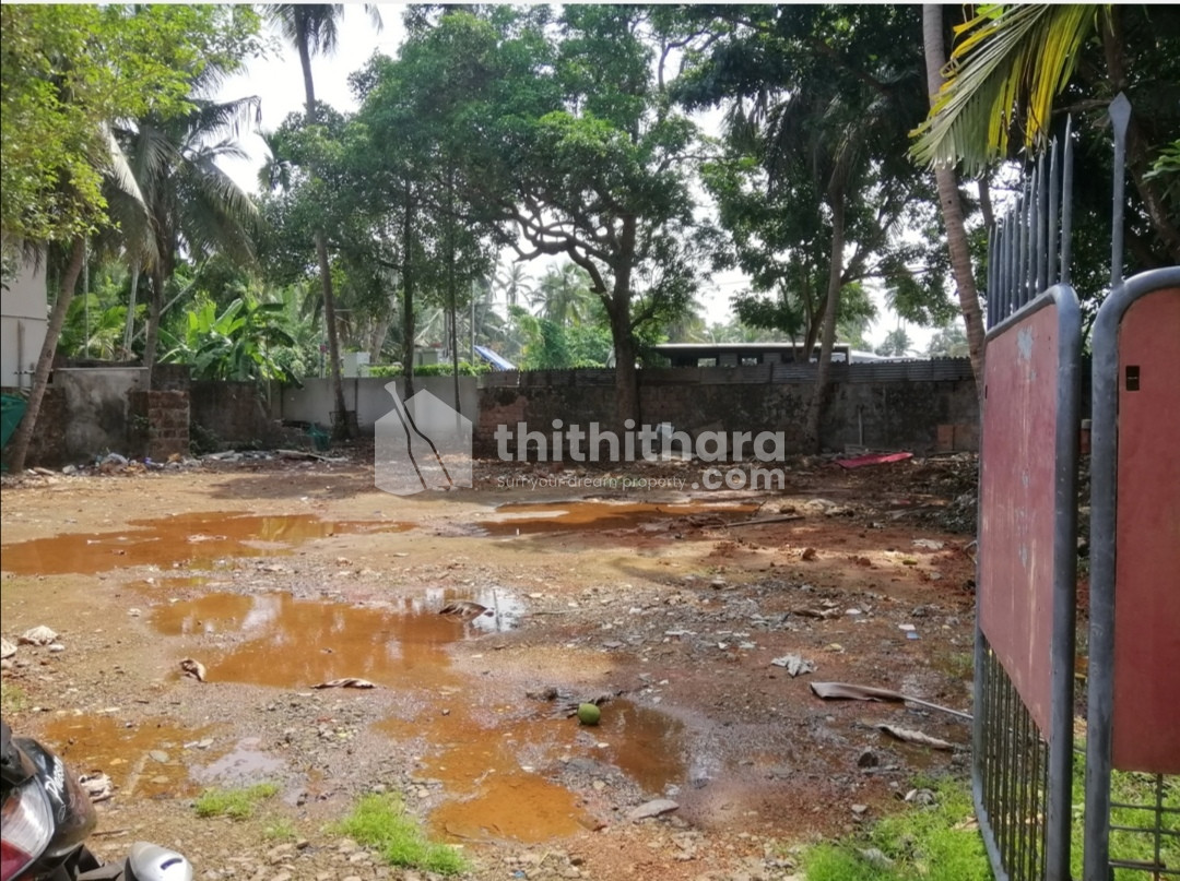 13 cents rectangle land Nadakkavu Kozhikode 
