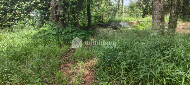 Commercial PlotAvailable For Sale at Kakkanad Ernakulam