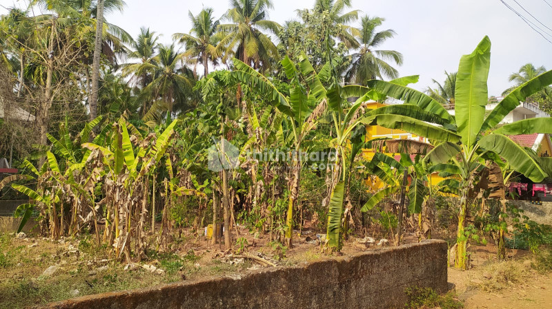 Residential Land available for Sale in Ollur Thrissur