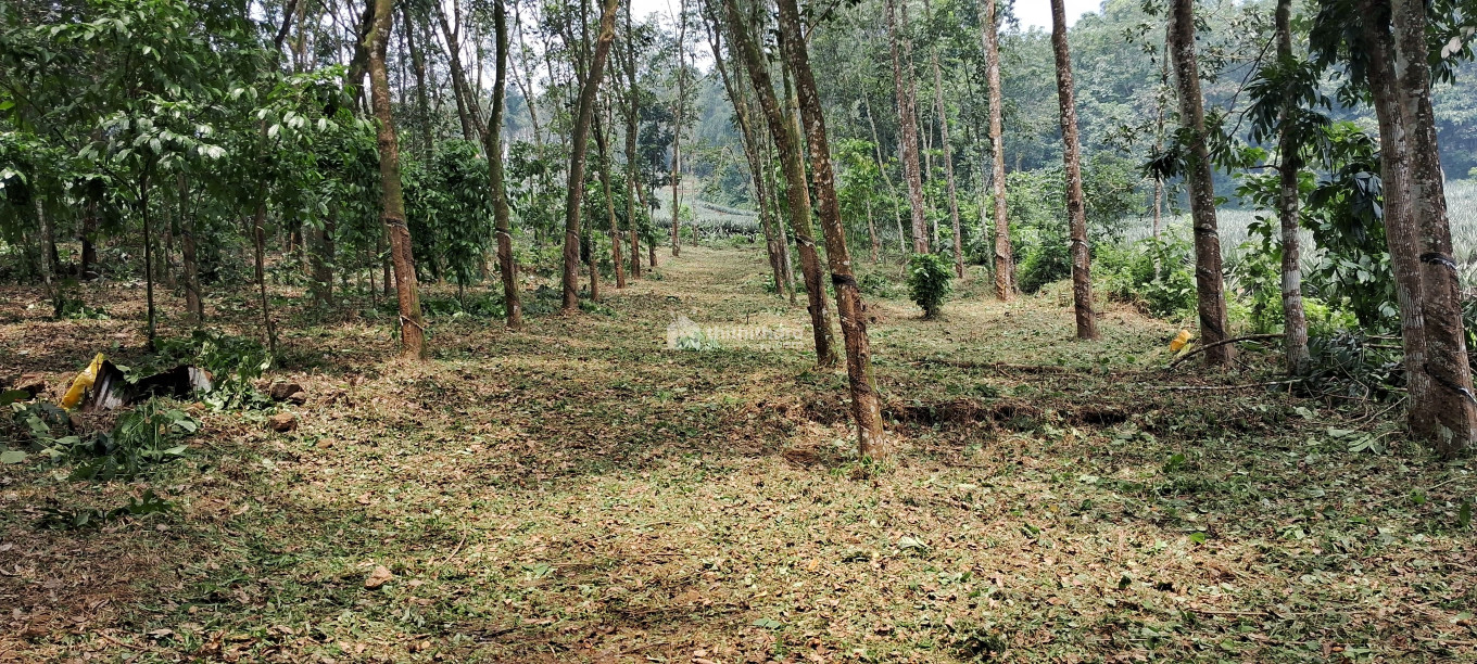 Commercial Plots available for Sale in Meenachil Kottayam