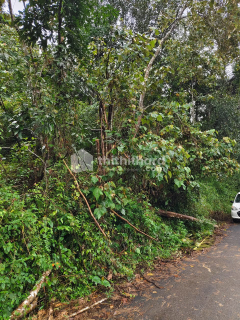 Commercial plot available for Sale in Mananthavady Wayanad