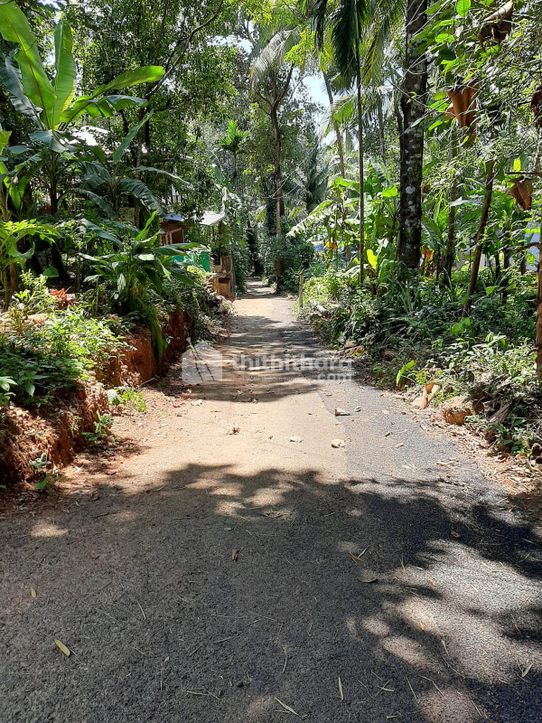 Residential Land for Sale in Government Medical College, Kozhikode