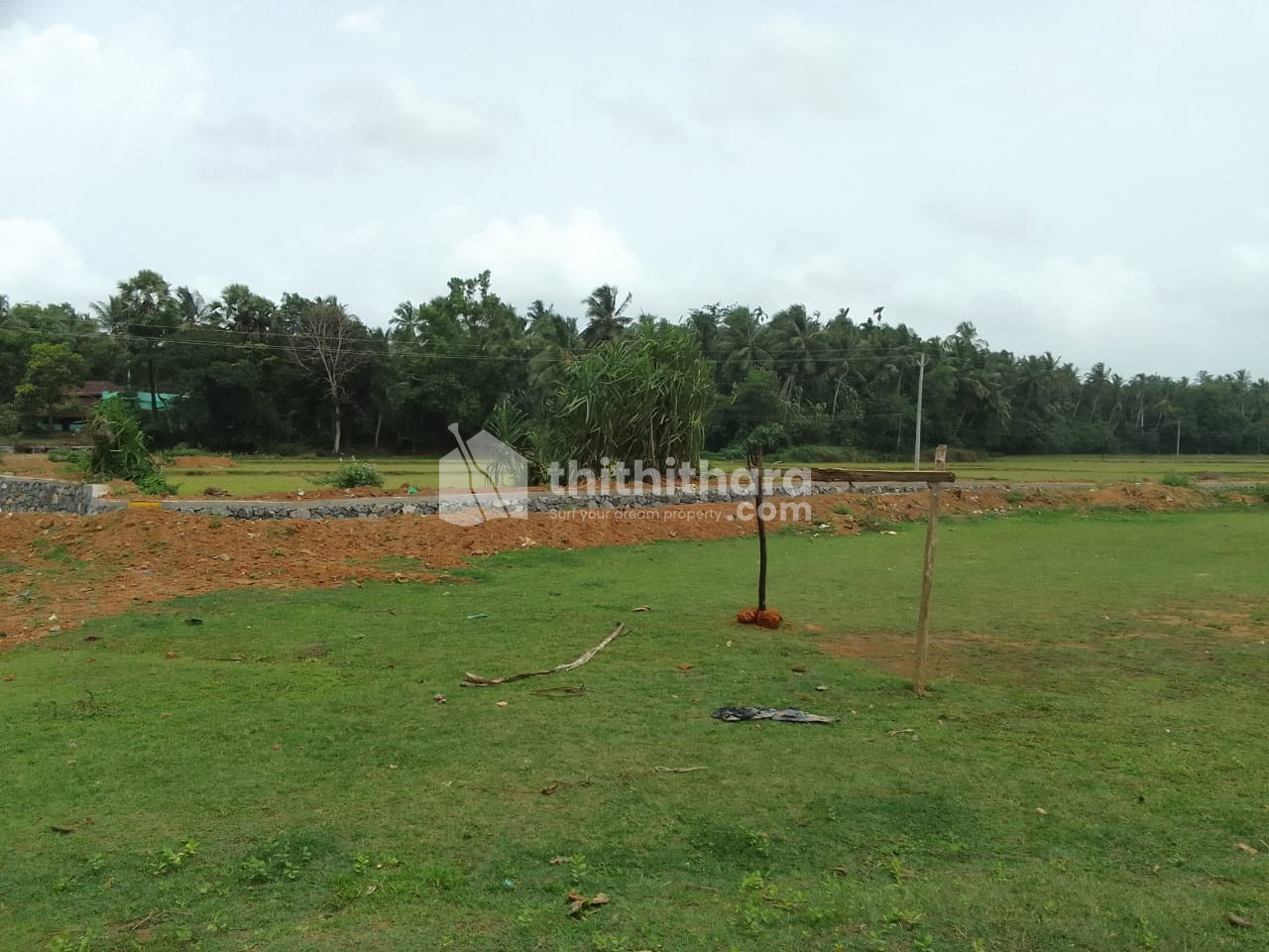 Agricultural Land for sale at Pattambi Palakkad 